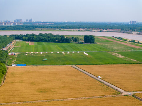 济南黄河岸边的草原