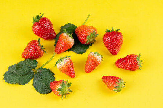 春季水果草莓