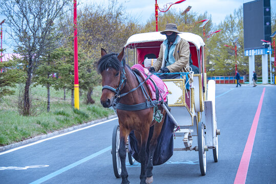 旅游马车