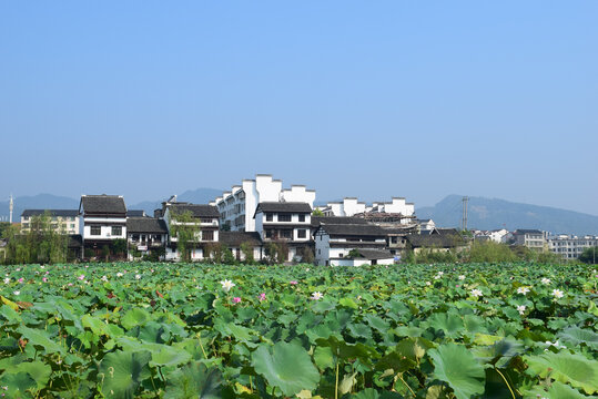 湖南浦市万荷园