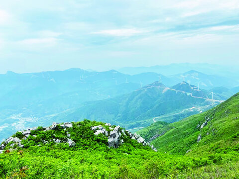 高山上的风景