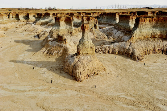 大同土林