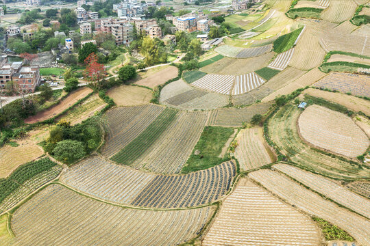 田园田野