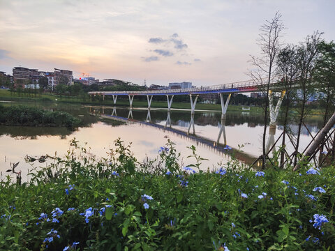 明月湖湿地公园