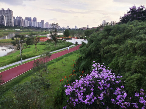 明月湖湿地公园