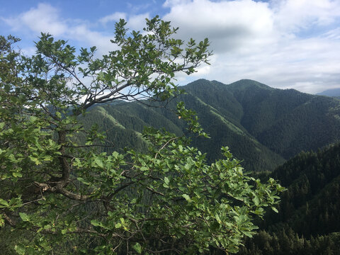 山顶