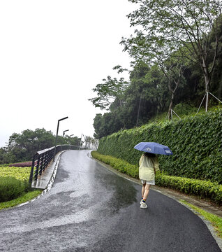 下雨的景色