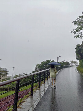 雨中步道漫步