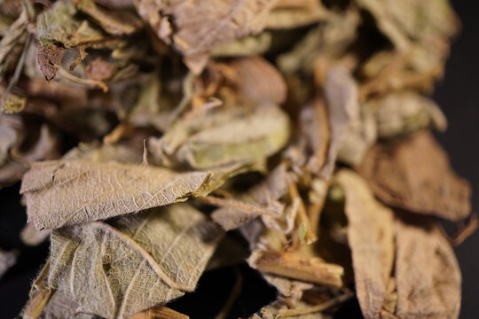 广金钱草中药中草药中医药材