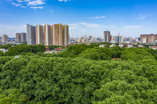 航拍郑州大学南校区绿树成荫