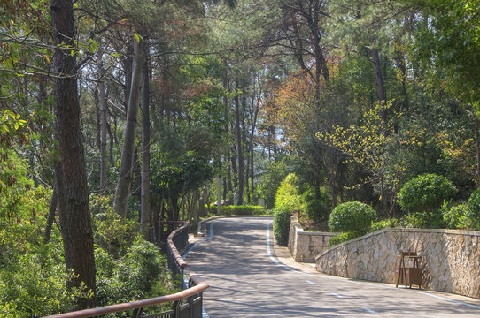 永泰塔山公园森林小道