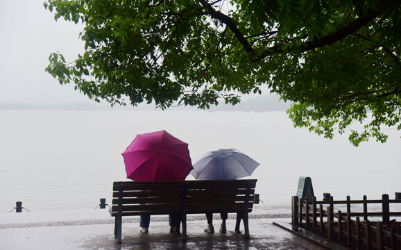 雨中湖边赏美景