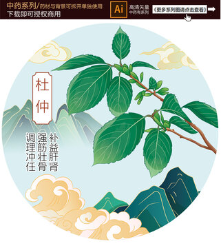 手繪杜仲