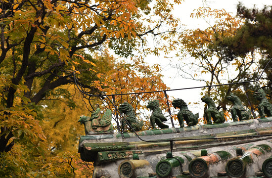 北京潭柘寺秋色