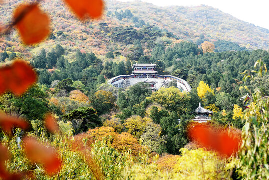 北京香山秋色