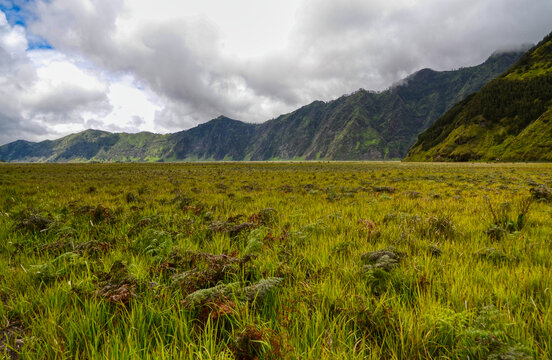 婆罗摩火山地区