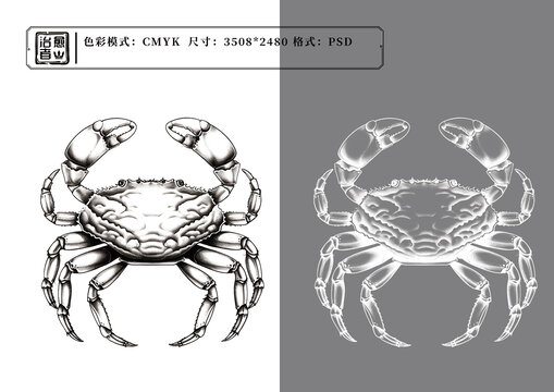 螃蟹针管笔插画