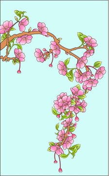 手绘矢量古风樱花树装饰元素