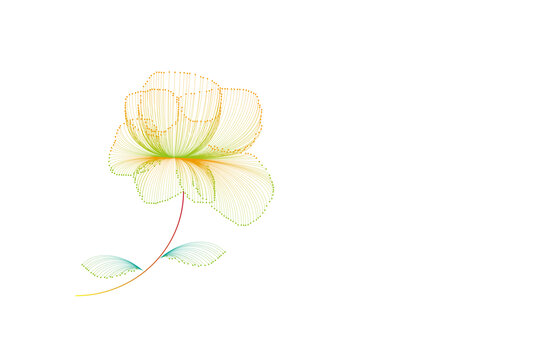 線性花朵