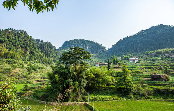 田园丘陵