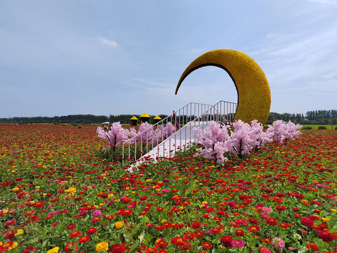 步步高花