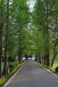 柏油马路