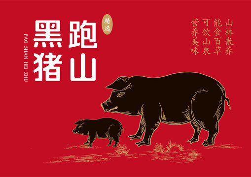 豬肉禮盒