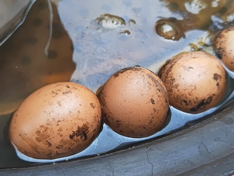 大锅煮鸡蛋