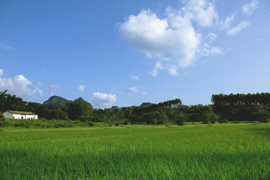 河源雅色村