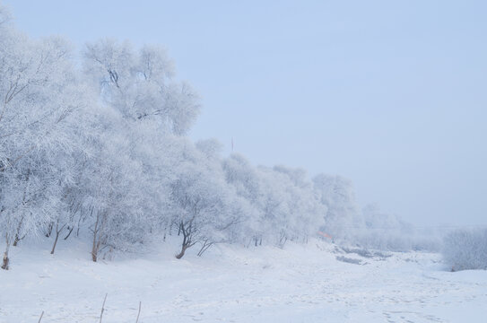 雪淞