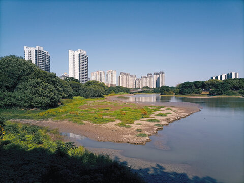 城市建筑和绿化景观