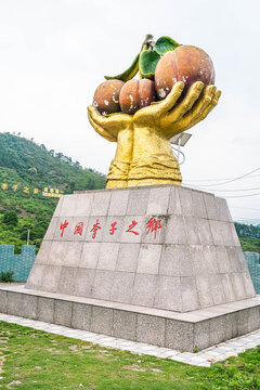 种植景区李子塑像