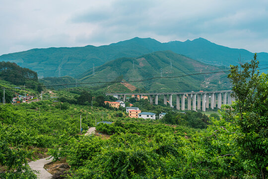 广西贺州李子山