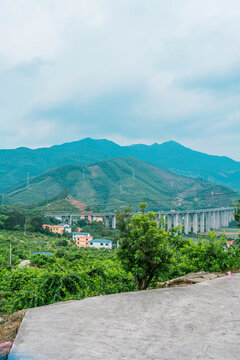 广西贺州果园种植基地