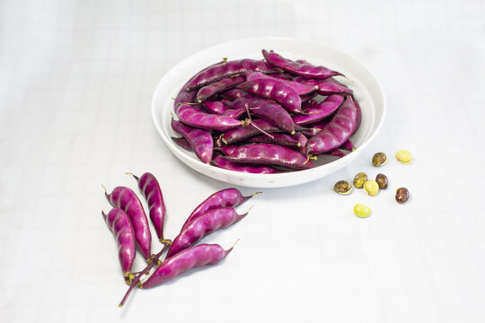 紫红扁豆