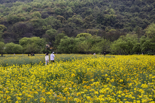 杭州八卦田遗址公园