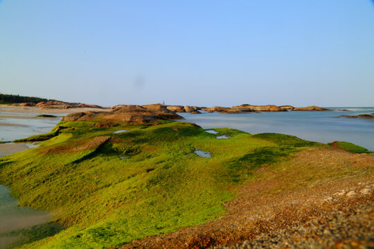 大海礁石浪花