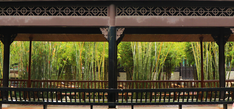 古建筑长廊竹林