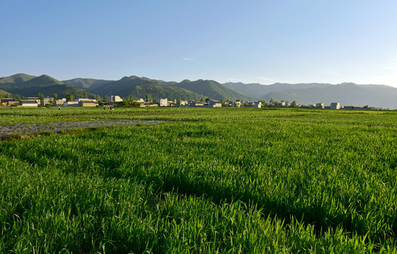 乡村黄昏