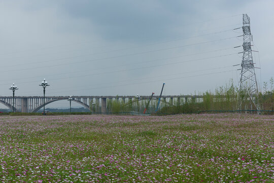 宜宾岷江花海银昆高速岷江大桥