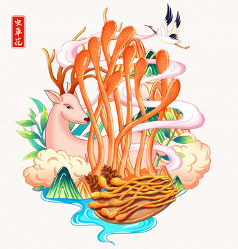 虫草花插画手绘