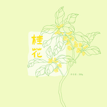 桂花包装