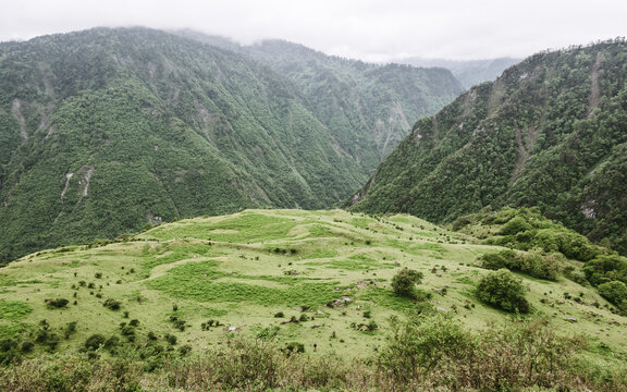 川西卓西牧场