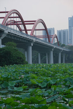 深圳洪湖公园