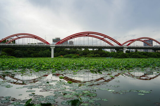 深圳洪湖公园