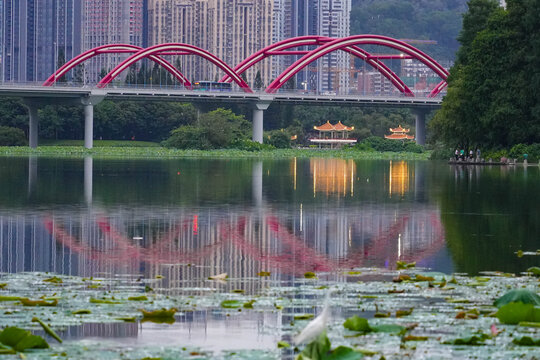 深圳洪湖笋岗大桥