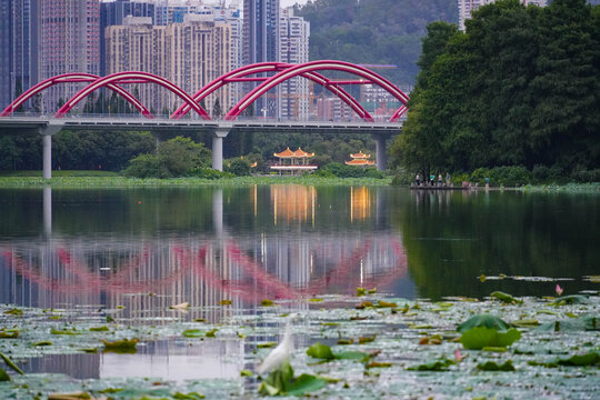 深圳洪湖笋岗大桥