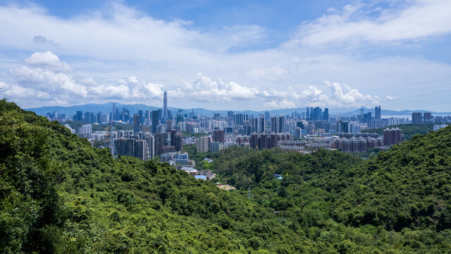 森林城市深圳高楼