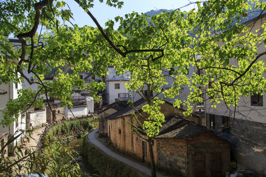 水竹坑村