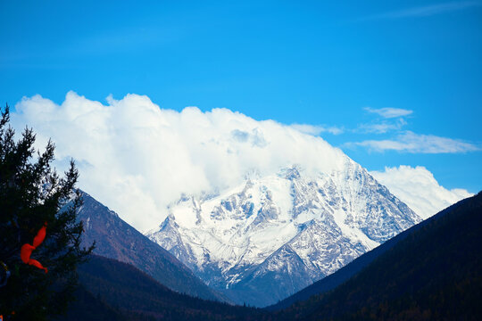 四姑娘山